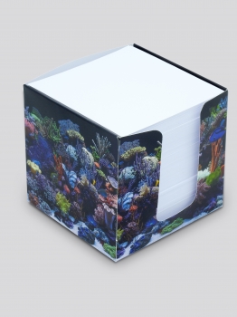 Zettelbox Meerwasser