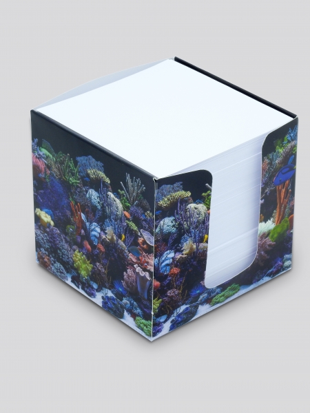 Zettelbox Meerwasser